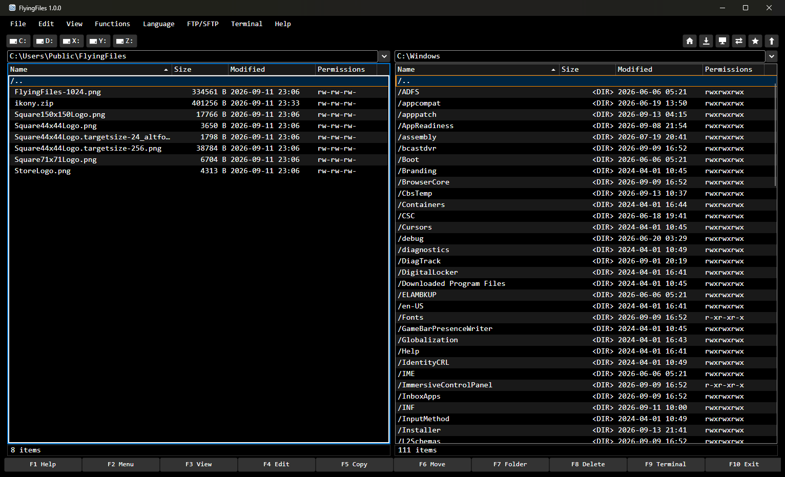 FlyingFiles window with two file panels, the menu and the F1–F10 key bar